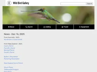 Wild Bird Gallery