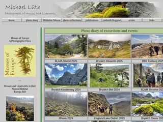 Bryophyte Pictures Michael Lueth Mosses Liverworths