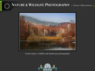 Nature & wildlife photography - Öùôïãñáößá öýóçò êáé Üãñéáò æùÞò