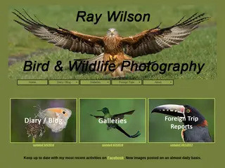 Ray Wilson's Bird & Wildlife Photography - Home Page & Recent Updates