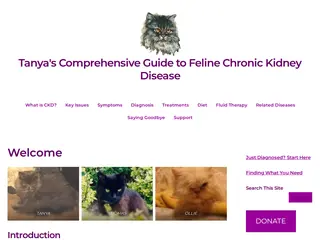 Tanya's Comprehensive Guide to Feline Chronic Kidney Disease – Everything You Need to Know to Help Your Cat
