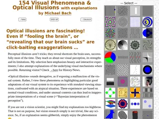Visual Phenomena & Optical Illusions