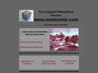 New England MeteoriticalServices, Everything about Meteorites 2020