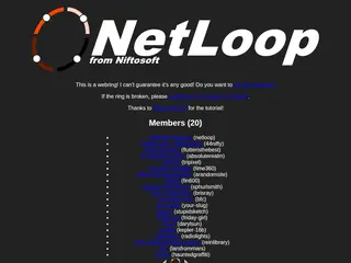 Niftosoft's NetLoop