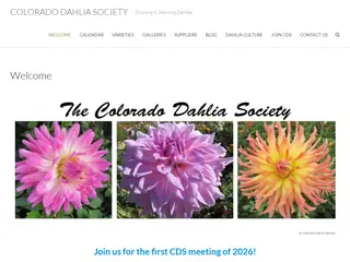 Colorado Dahlia Society – Growing & Showing Dahlias