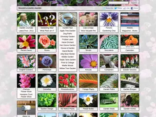 Moosey's Country Garden - A New Zealand Country Garden