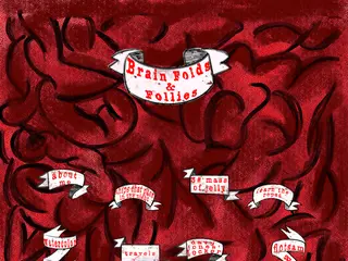 Brain Folds and Follies>