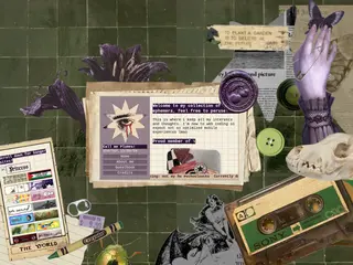Plumes' ephemera collection