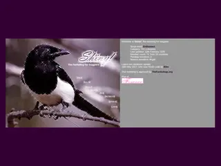 Shiny! - The fanlisting for magpies