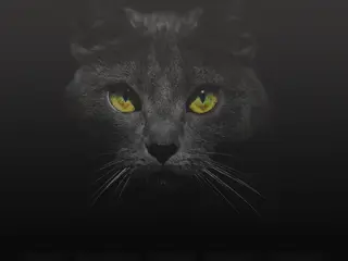 THIRTEENTH FLOOR | collective    