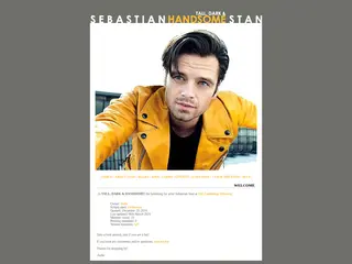 The Sebastian Stan Fanlisting