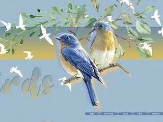 Aldara - The Birds Fanlisting