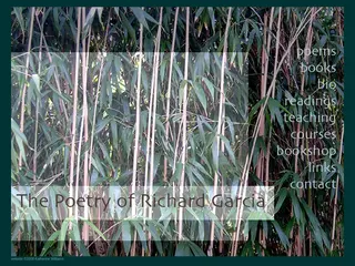 Inside the Poetry of Richard Garcia