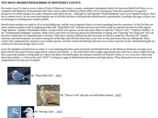 Ten most misidentified page