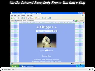On the Internet Everybody Knows You had a Dog. Olia Lialina, 2015 -- ongoing
