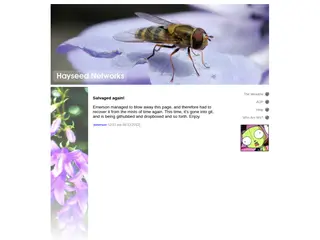 .\|/. H a y s e e d N e t w o r k s .\|/.