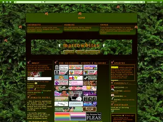 somewhere deep in the forest...