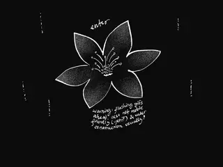 별들 사이의 꽃