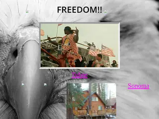 Forthtrip's Site - Front Page