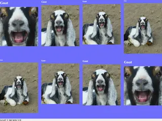 Goat's Site - Front Page