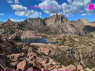 Merely a Flesh Wound | Alex Henes