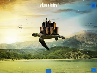 비주얼스카이 - 그래픽/웹디자인, 디지털아트