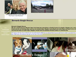 Bernards Beagle Rescue