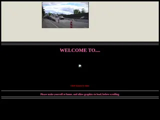 CATS & PINK CADILLACS