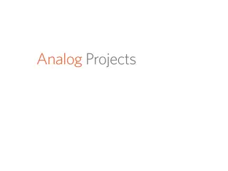 Analog Projects | A Curatorial and Project Space