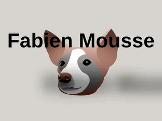 Le INTERNET of Fabien Mousse