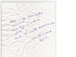 thisismybeautifuldomainonedayillbegonebutitwillremain.com