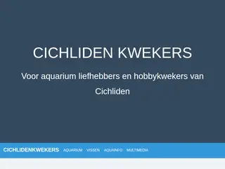 Het Aquarium en de Cichliden - Cichlidenkwekers