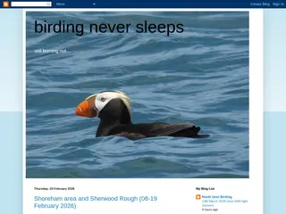 birding never sleeps