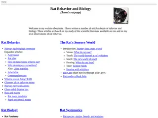Rat Behavior and Biology