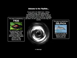 The FlipSide