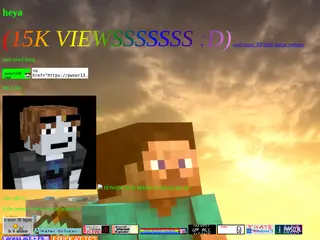 pwner1338 website real