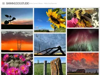 Barking Dog Studio – Alan Levine's Photos