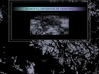 Labyrinth of Oddities (wip)