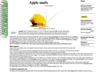 The Apple Snail (Ampullariidae) Website