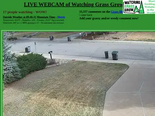 LIVE WEBCAM of Watching Grass Grow since 2005!