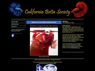 California Betta Society - a Northern California organization of breeders and afficionados of bettas