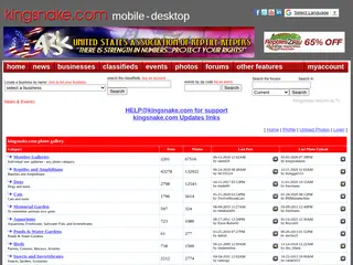kingsnake.com photo gallery >