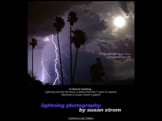 Lightning Lady Lightning Photography
