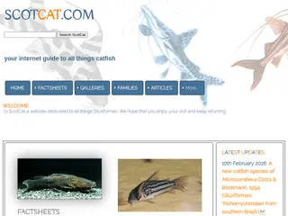 Catfish: Your internet guide to all things Catfish