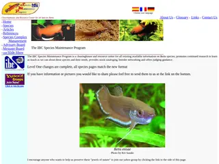 The IBC Species Maintenance Program