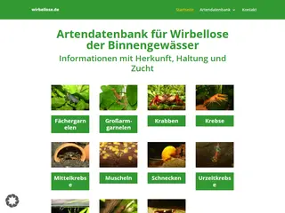 Startseite - Wirbellose.de