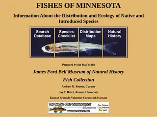 Fishes of Minnesota - menu