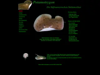 Potamotrygon Die Süßwasserrochen Südamerikas - Home