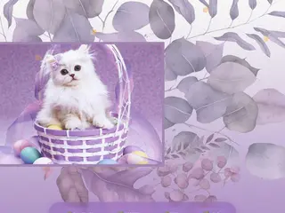 All The World's A Stage - THEATREGIRL.NET       