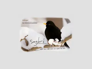 ~ songbird ; the blackbird fanlisting ~